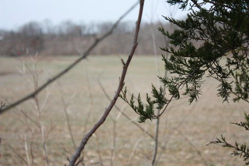 Property photo 21 - ABSOLUTE AUCTION - 298 Acres Offered in 4 Tracts